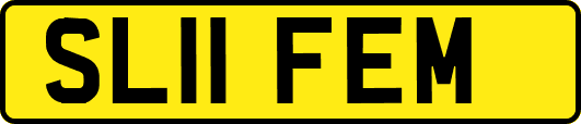 SL11FEM