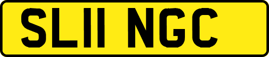 SL11NGC