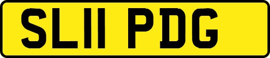 SL11PDG