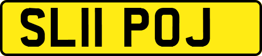 SL11POJ