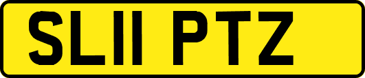 SL11PTZ
