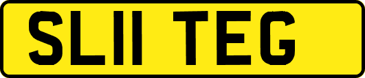 SL11TEG