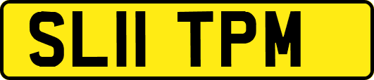 SL11TPM
