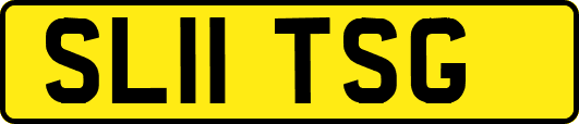 SL11TSG