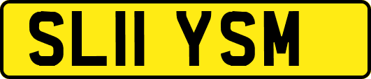 SL11YSM