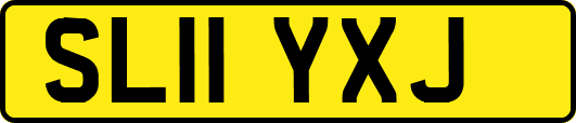 SL11YXJ