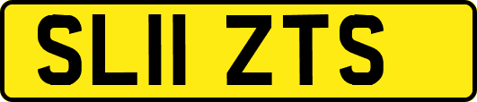SL11ZTS