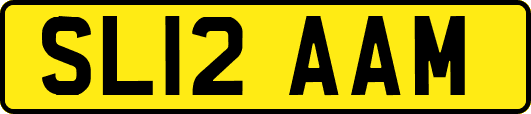 SL12AAM