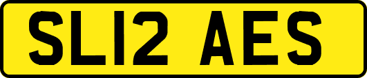 SL12AES