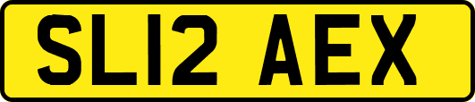 SL12AEX