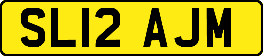 SL12AJM