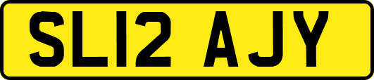 SL12AJY