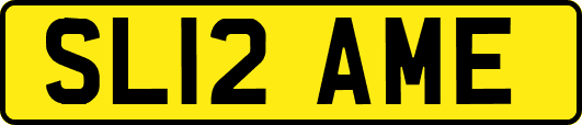 SL12AME