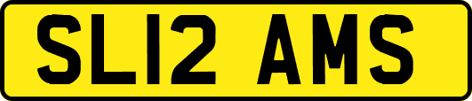 SL12AMS