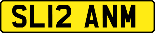 SL12ANM