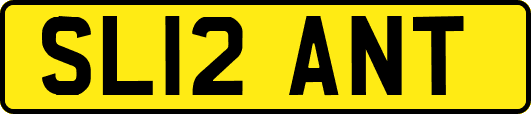 SL12ANT