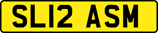 SL12ASM