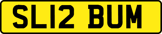 SL12BUM