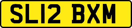 SL12BXM