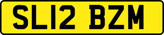 SL12BZM
