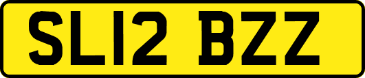 SL12BZZ