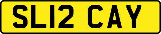 SL12CAY