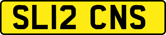 SL12CNS