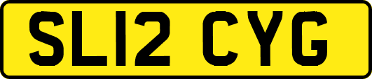 SL12CYG