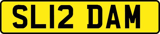 SL12DAM