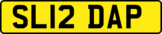 SL12DAP