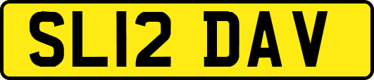 SL12DAV