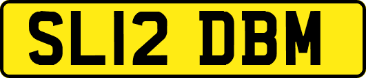 SL12DBM