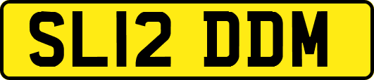 SL12DDM