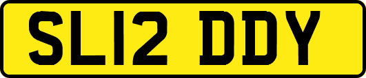 SL12DDY