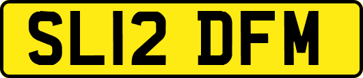 SL12DFM