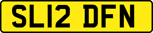 SL12DFN