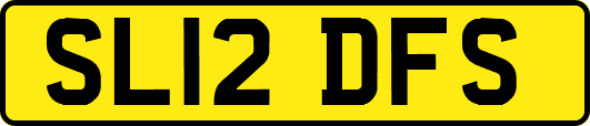SL12DFS