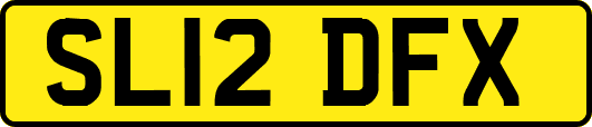 SL12DFX