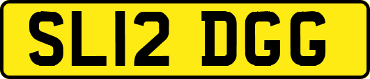 SL12DGG
