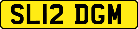 SL12DGM