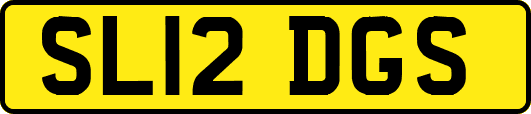 SL12DGS