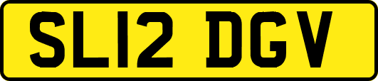 SL12DGV