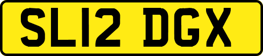 SL12DGX