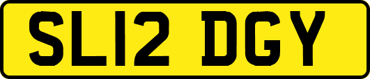 SL12DGY