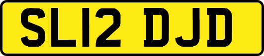 SL12DJD