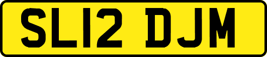 SL12DJM