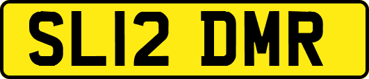 SL12DMR