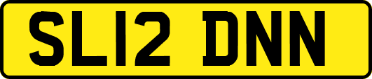 SL12DNN