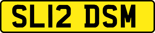 SL12DSM