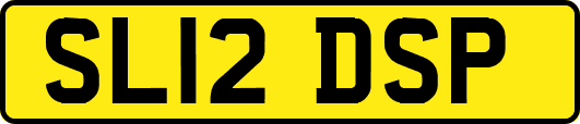 SL12DSP